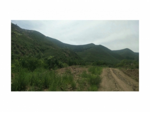 东窝棚狼沟河塘子